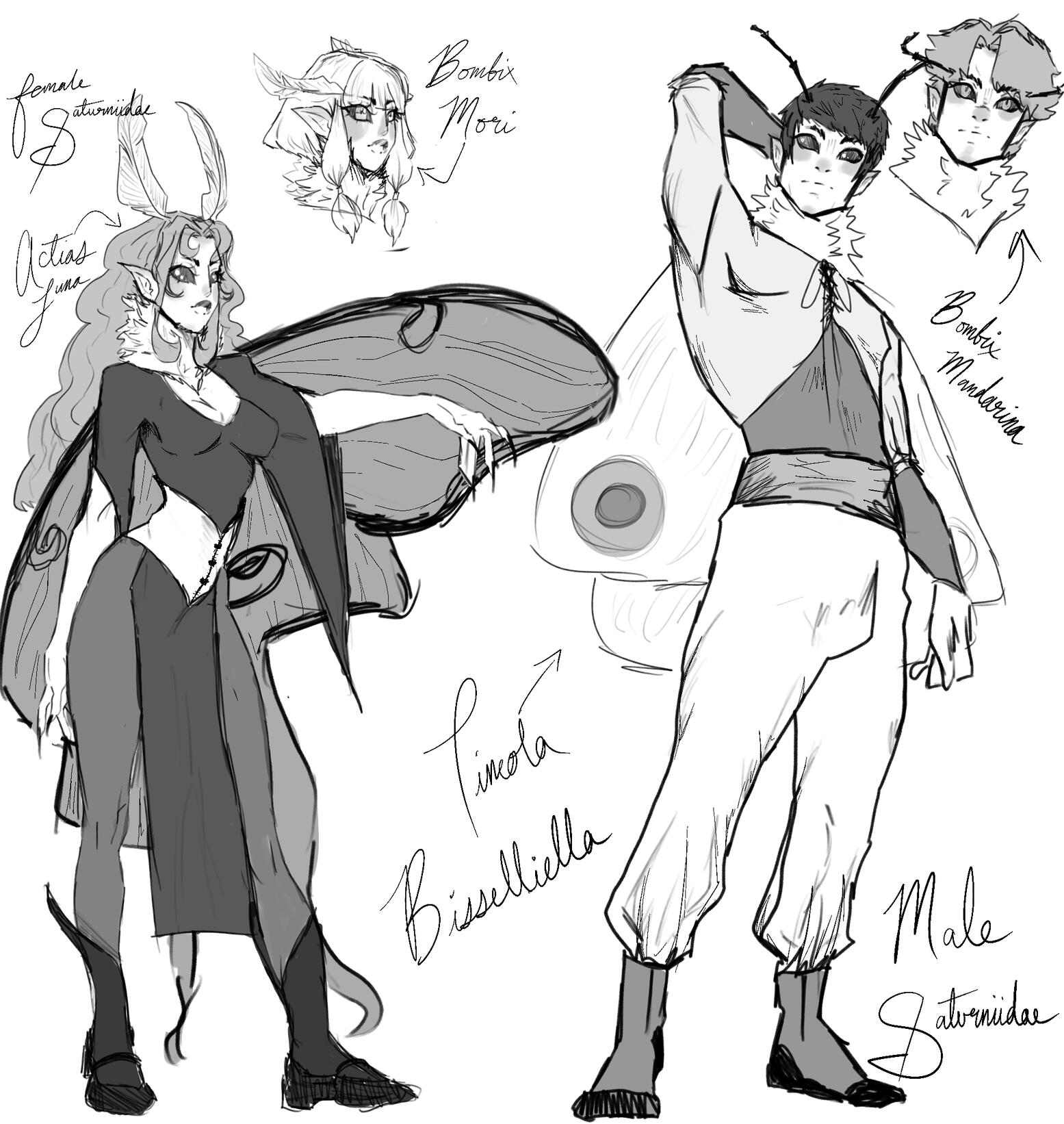 1 Hour 14 minute Sketch, ProCreate, '2023, A race of moth people created for a world building class