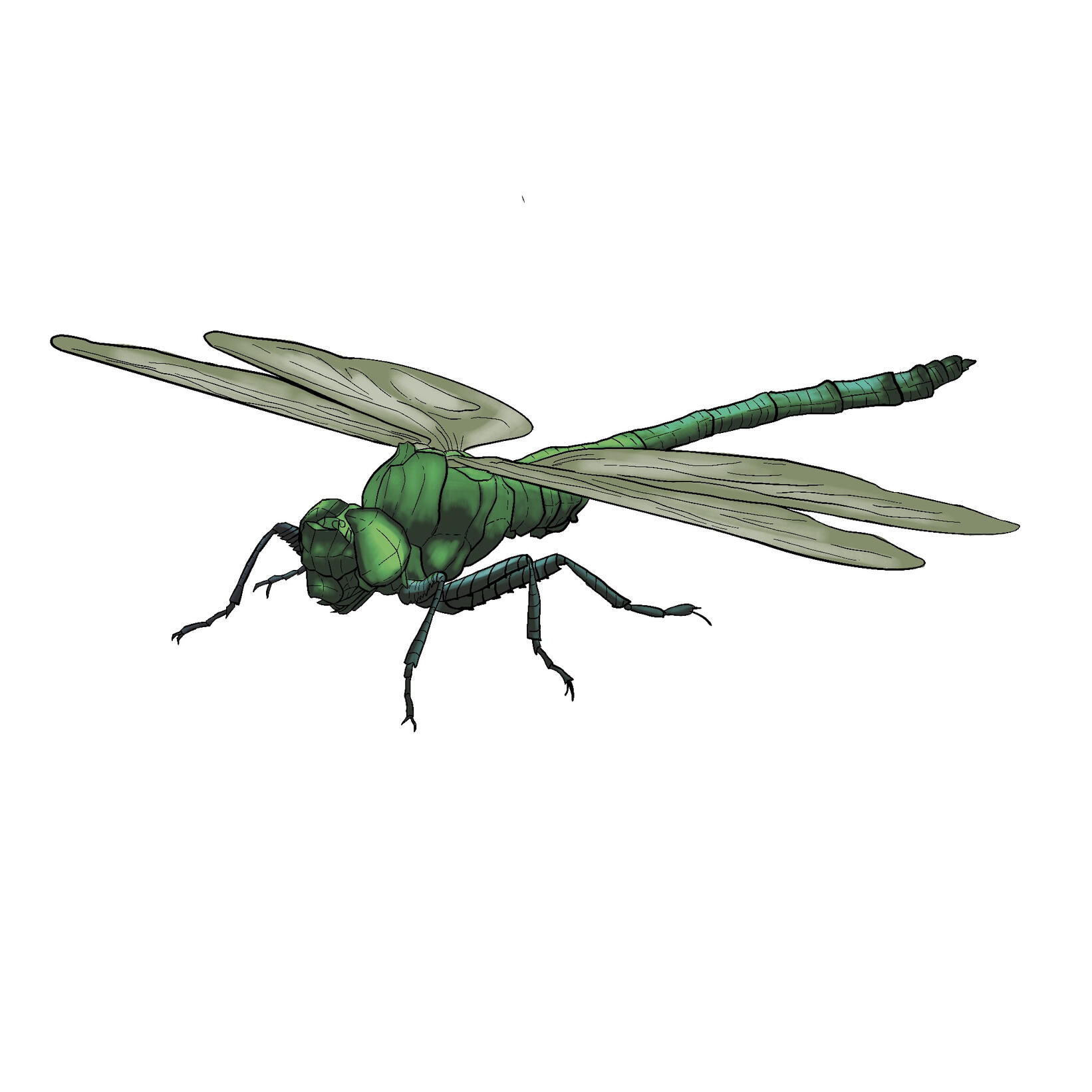 Procreate '22, 3D Model Referenced